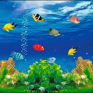 when i wake up (Explicit)