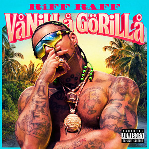 Vanilla Gorilla (Explicit)