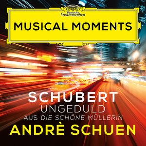 Schubert: Die schöne Müllerin, Op. 25, D. 795: VII. Ungeduld (Musical Moments)