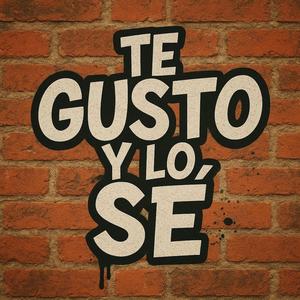 Te gusto y lo sé (Explicit)