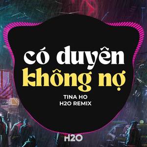 Có Duyên Không Nợ (Remix)