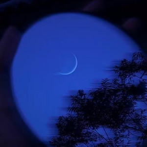 类似爱情 (R&B版)