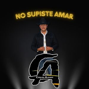 No supiste amar