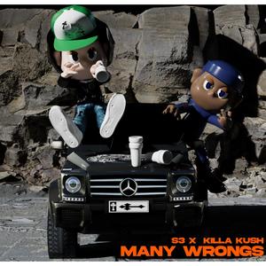 Many Wrongs (Explicit)