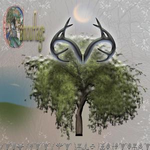 Camouflage(feat. hm.wav)