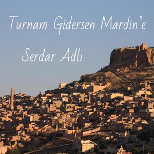 Turnam Gidersen Mardin'e