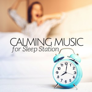 Calming Music for Sleep Station - Sleeping Music for Babies, Healing Music Instruments, Zen Music Prime