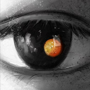 温室里的花封面