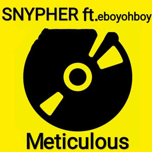 Meticulous (feat. eboyohboy)
