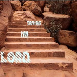 Lord I'm Trying (Explicit)