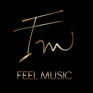 Feel Music