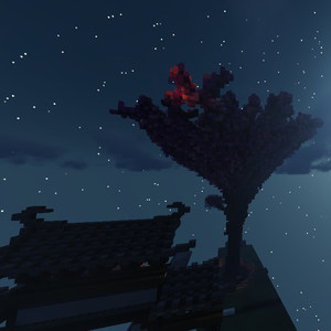 Moonlit Night