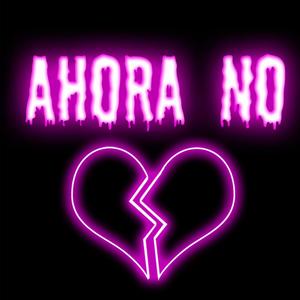 AHORA NO