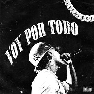 Voy por todo