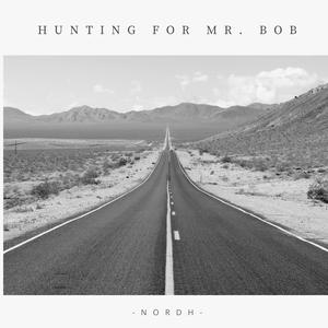 Hunting for Mr. Bob
