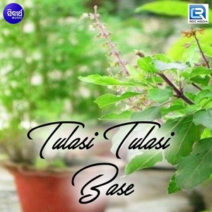 Tulasi Tulasi Base