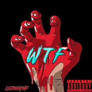 WTF! (feat. Lil Jonny NF) [Explicit]