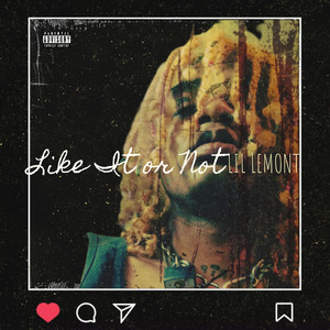 Like It or Not (Explicit)