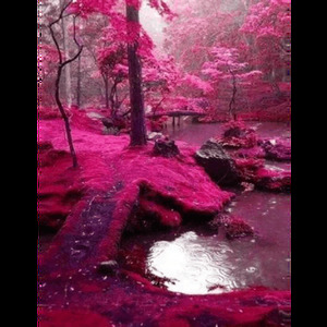 乱红 笛子 (Inst.)