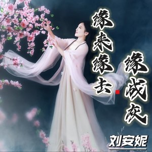 刘安妮 - 缘来缘去缘成灰