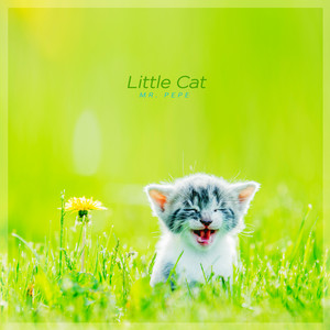 사뿐사뿐 발걸음 (Step By Step)