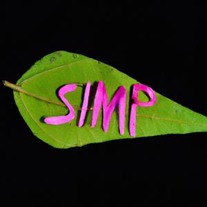 SIMP (feat. Sweetbabyjesus) (Explicit)