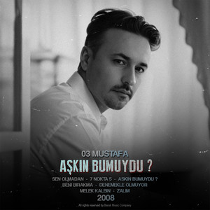 Aşkın Bumuydu