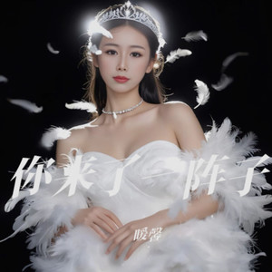 你来了一阵子