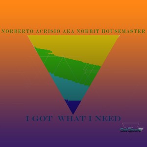 I Got What I Need (Original Mix)