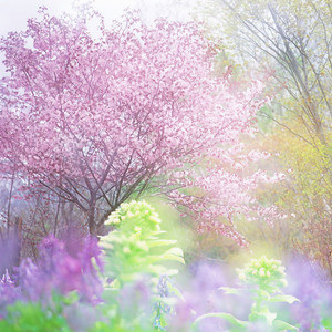 婴儿哄睡入眠曲