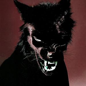 LEVIA (EXTREME SLOWED)