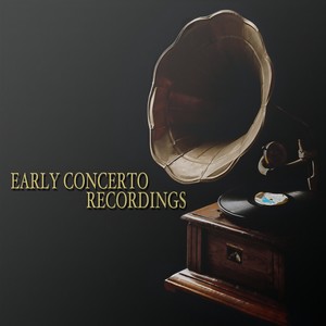 Violin Concerto In D Minor, Op.47 - 3. Allegro, Ma Non Tanto