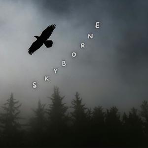 Skyborne (feat. K J Diliip & Shalini Mohan)