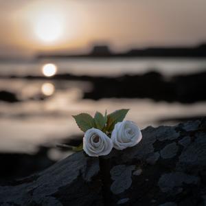 TELL ME IS IT TIME TO GO (Explicit)