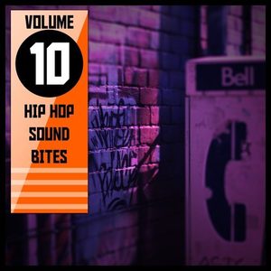 "Hip Hop Sound Bites,Vol.10"