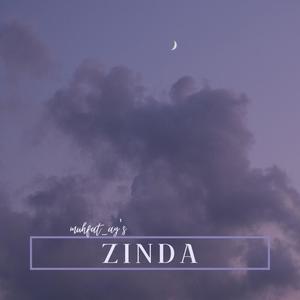 ZINDA (feat. NIVAS)