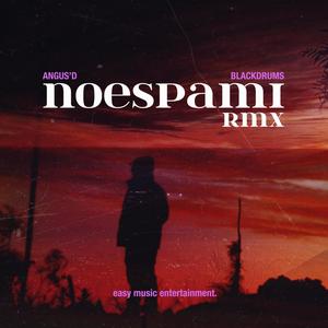 NOESPAMI RMX (Black Drums Remix)