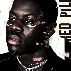 Plastic Flowers (Explicit)