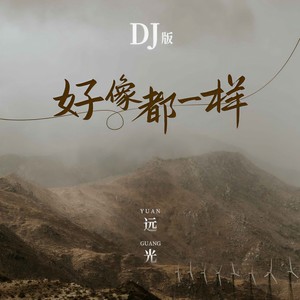 好像都一样 (DJ版)