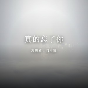 真的忘了你