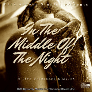 In the Middle of the Night (Explicit)