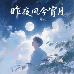 苏云升 - 昨夜风今宵月