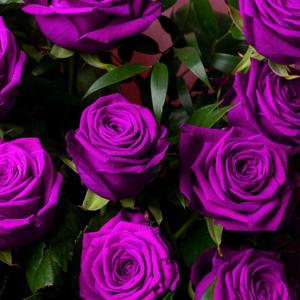 Rosae(feat. Grosz & Gionathan)(Home Edit)