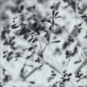 Lost (feat. Myrmax & brudduh)