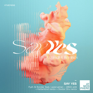 Say Yes 2024