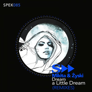 Dream A Little Dream (DJ Lisi Remix)