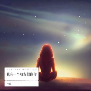 我有一个朋友很像你