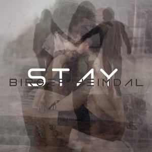 Stay - Birger Heimdal