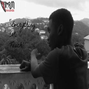Everything Mi Touch