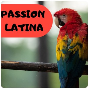 PASSION LATINA